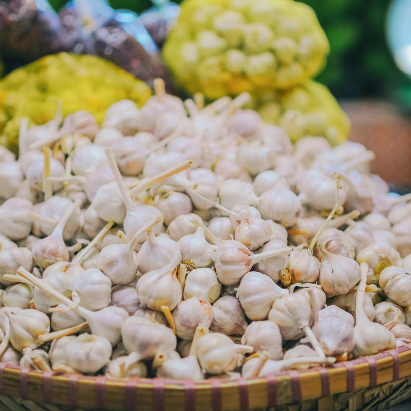 Kiat Sukses Bertani Bawang: Panduan Lengkap untuk Hasil Panen Optimal