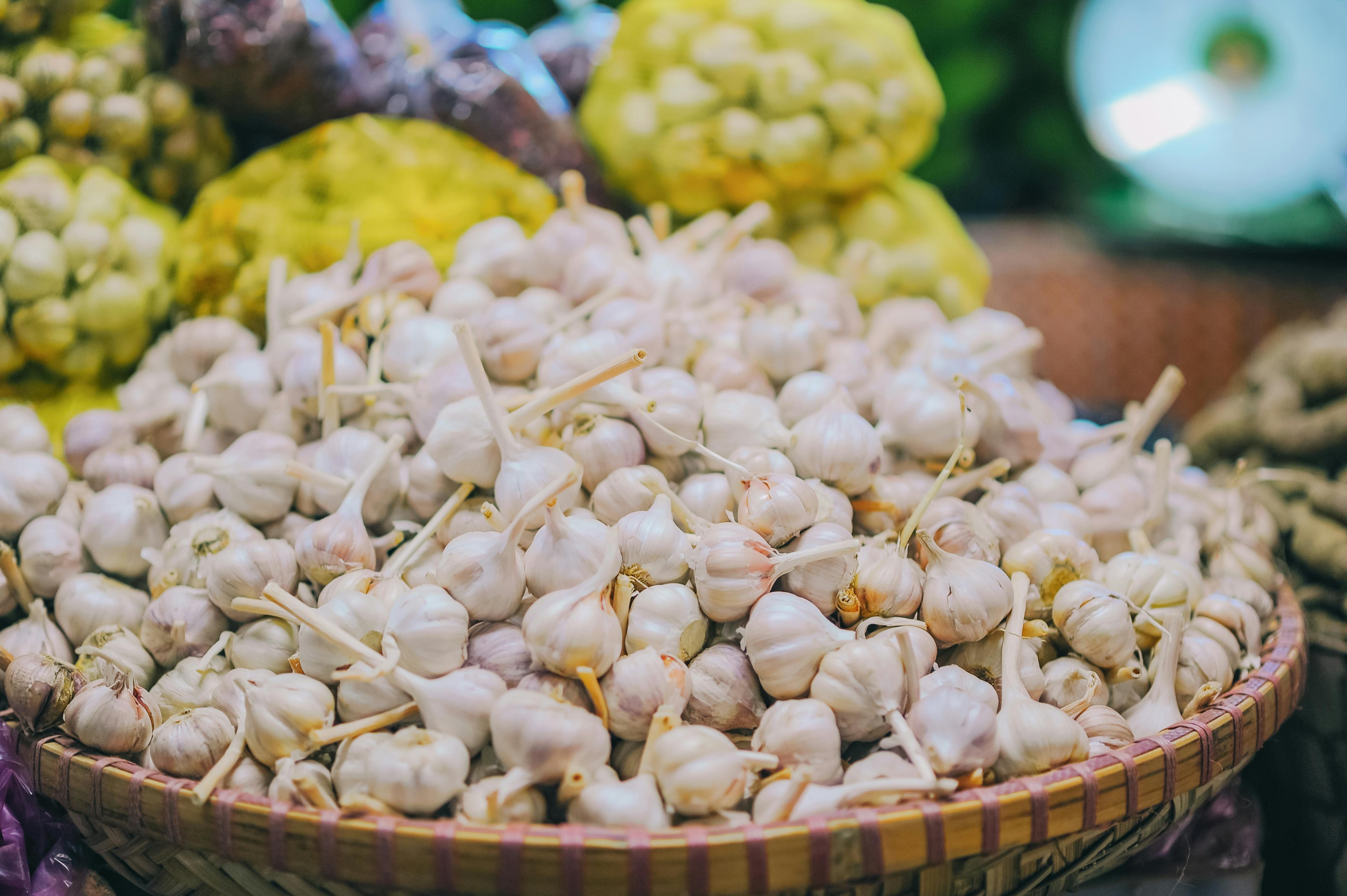 Kiat Sukses Bertani Bawang: Panduan Lengkap untuk Hasil Panen Optimal